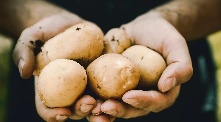 Kartupeļi pozitīvi ietekmē vīriešu veselību